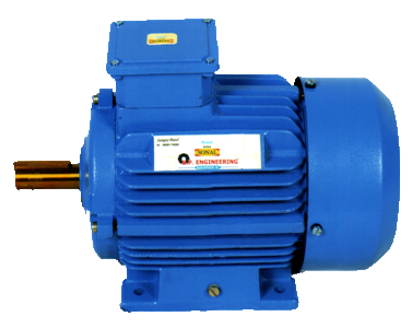 Industrial Motors