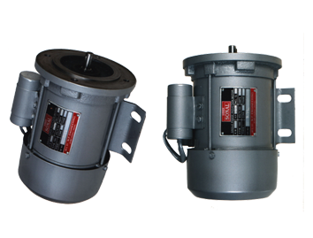 Single Phase Flange Mounted Industrial Motors